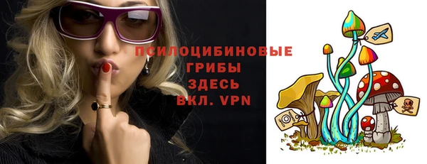 твердый Кодинск