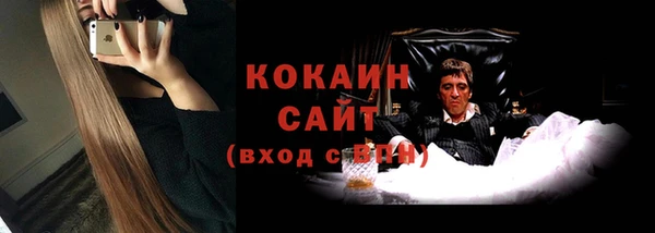 прущие грибы Костерёво