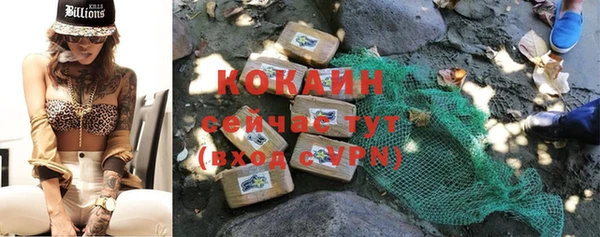 винт Козельск