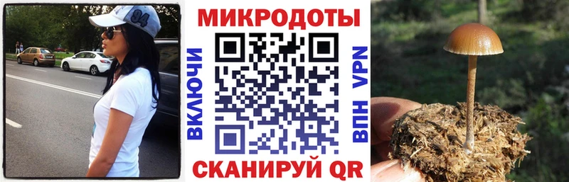 Псилоцибиновые грибы Psilocybine cubensis  Котово 
